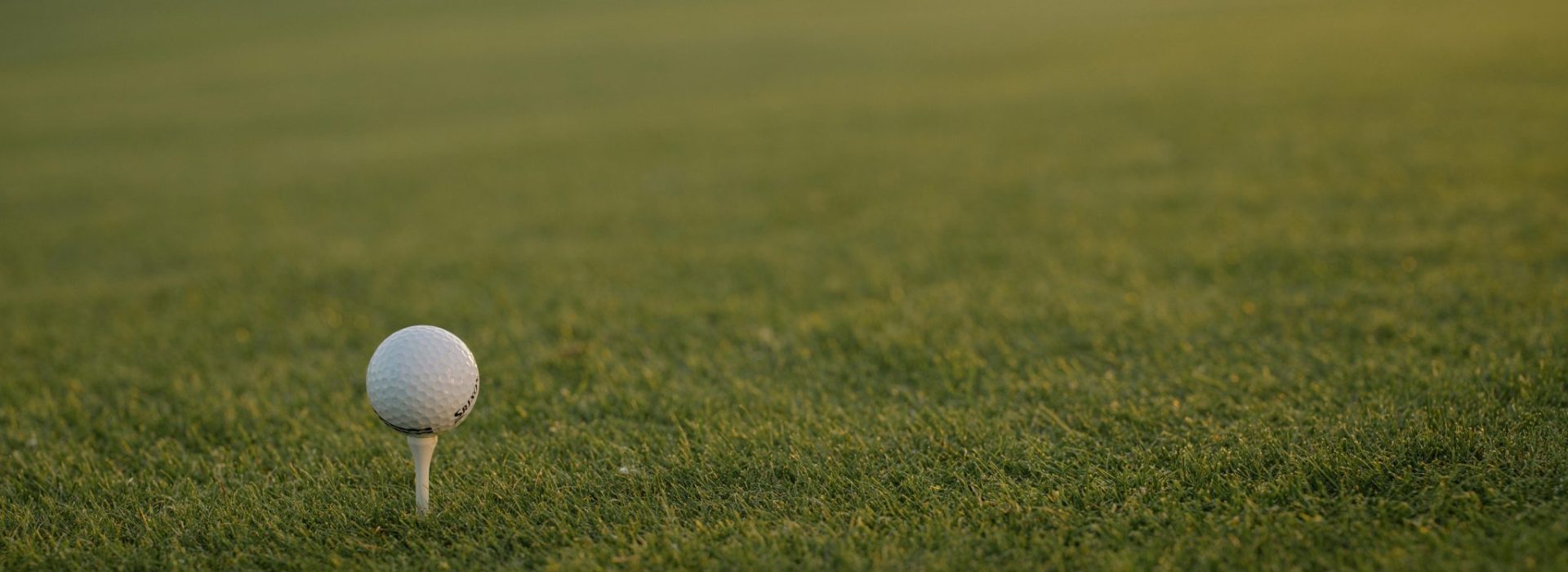 golf ball on golf course green